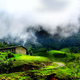 Illustration for article titled MUNNAR - THE BEST HONEYMOON DESTINATIONem/em